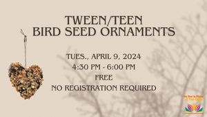Tween/Teen Bird Seed